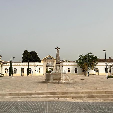 Beautiful Brand New 2 Bedroom Flat With Terrace Málaga Extérieur photo